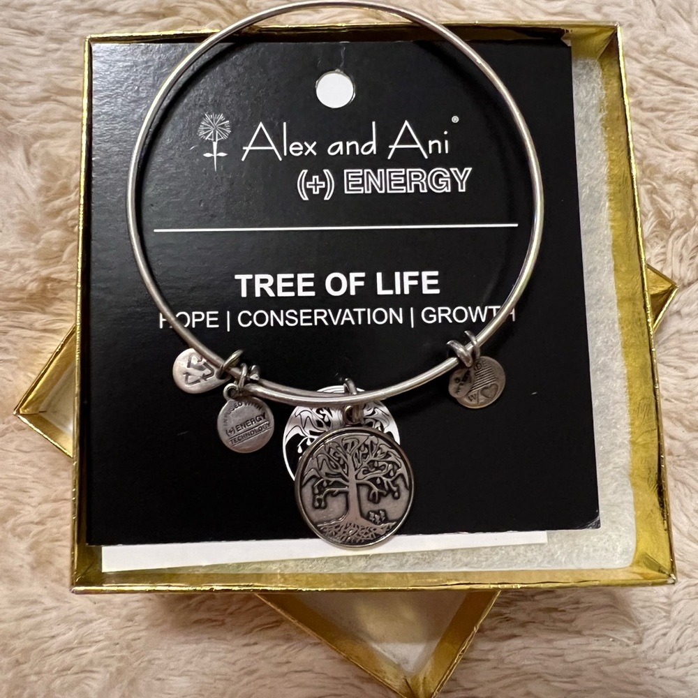 2013 Alex and Ani Tree of Life Bangle